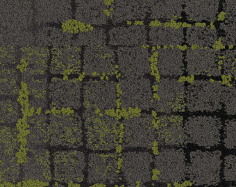 [300111132_3] Moss In Stone - 105567 Onyx Edge